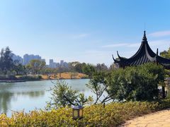 -江心屿景区
