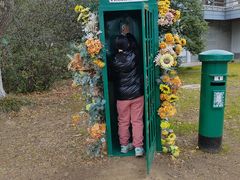 -金鸡湖桃花岛