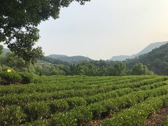 -东航云逸酒店(九溪烟树店)