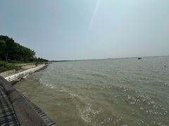 -贡湖湾湿地公园