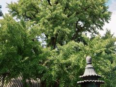 -红螺寺