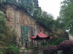 -莫干山风景区
