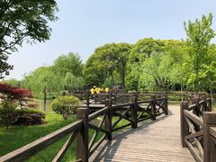 -上海鲜花港
