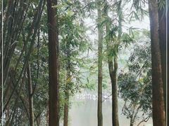-重庆彩云湖湿地公园