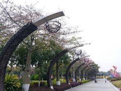 -映月湖公园