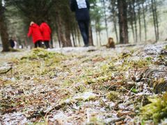 -硗碛藏寨·神木垒景区