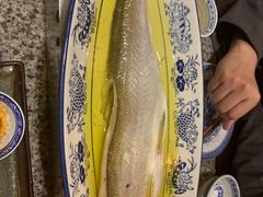 鸡汁白鱼-南京大牌档(三阳广场苏宁店)