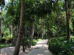 -三亚湾海居铂尔曼度假酒店