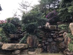 -广州市帽峰山景区