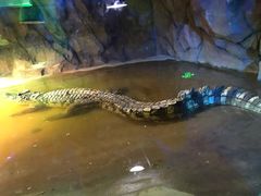 -西安秦岭野生动物园