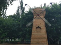 -长白岛森林公园