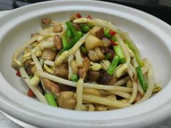 沙窝花生芽-老碗餐饮(前进路店)