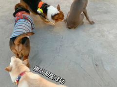 -小意思咖啡店(草桥店)