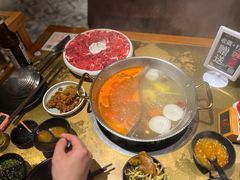 -手选潮汕鲜活牛肉火锅(二七广场店)