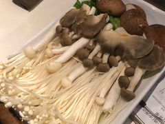 田园蔬菜-百年果林椰子鸡(中洲店)