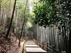 -敬亭山风景名胜区