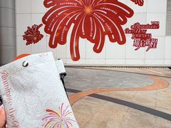 -VT101维多利广场