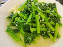 -草墩罗非鱼庄•野生菌•腊排骨(七星街上段店)