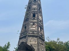 -上海佘山国家森林公园天马山园