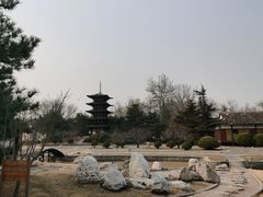 -北京世界公园