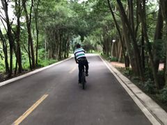 -大屏嶂森林公园