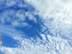 -天津工业大学西苑餐厅