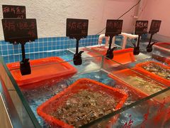 -邹开喜·炭炉鸡煲·海鲜火锅(虹口足球场店)