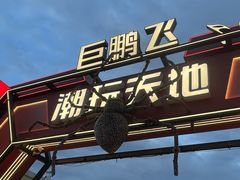 -巨鹏飞梦幻海岸