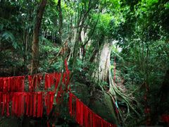 -七仙岭温泉国家森林公园