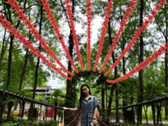 -合肥滨湖国家森林公园