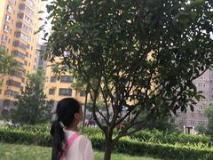 -洪氏嗨捞·广东猪肚鸡·椰子鸡火锅(西咸万象城店)
