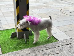 -星巴克(珠海仁恒滨海中心店)