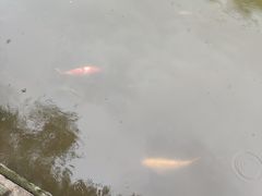 -黔灵山公园