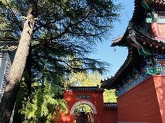 -洛阳白马寺