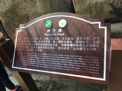 -缙云山景区