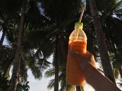 -Jonah's Fruit Shake & Snack Bar