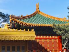 -八大处公园