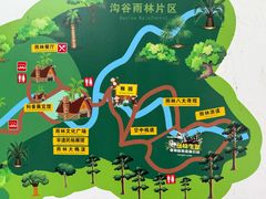 -西双版纳原始森林公园