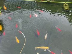 -长阳创谷