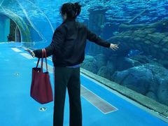 -哈尔滨波塞冬海底世界