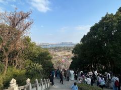 -苏州上方山国家森林公园