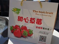 -甜心庄园·甜心草莓采摘园(西青中北店)