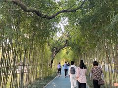 -四海公园(南山区)