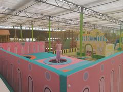 -南宫五洲植物乐园