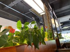 -铁道茶苑.色稷餐厅(莲花南路店)