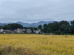 -塔川景区