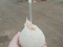 -新鸿港水果市场