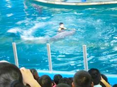 -苏州海洋馆
