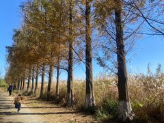 -良渚古城遗址公园
