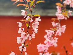 -国家植物园